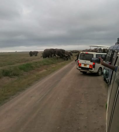 Amboseli Bound, Kajiado County, Kenya: photo 13
