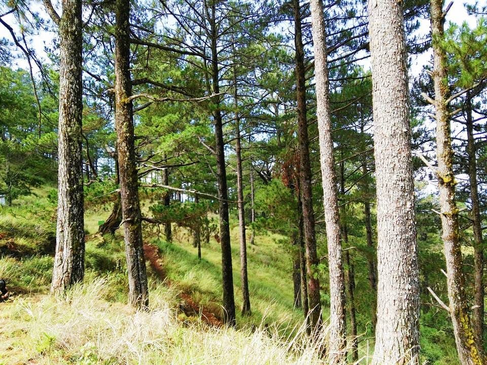 Traversing Mount Purgatory