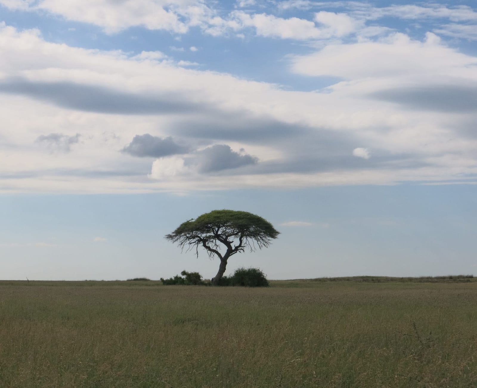 How to organize your safari in Etosha National Park- Namibia