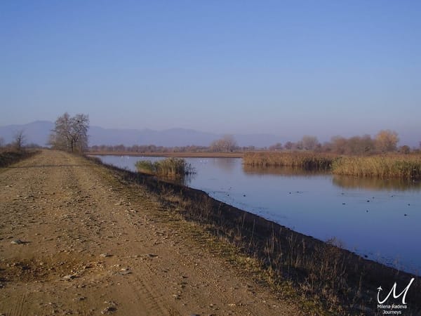 Birdwatching in Greece - Lake Kerkini: photo 1