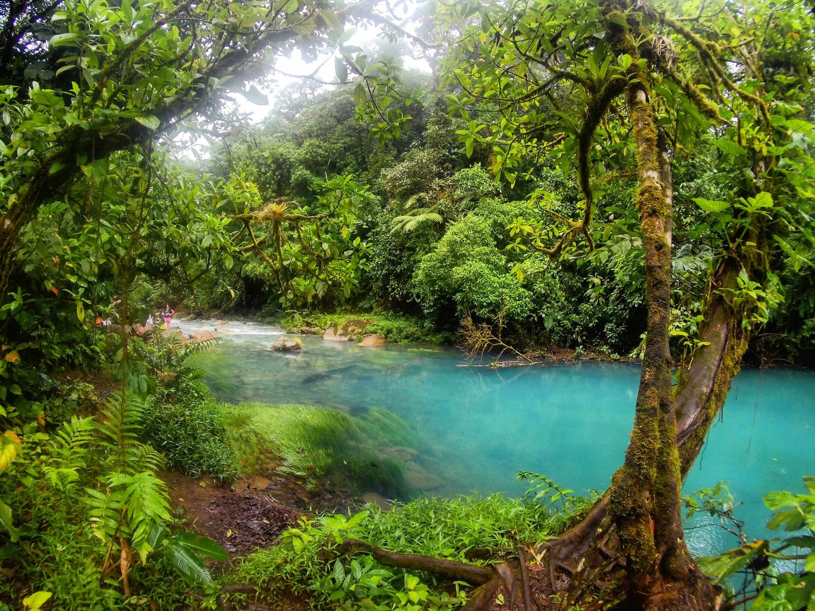 COSTA RICA: Central and Pacific Coast