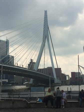 Rotterdam: A Day Guide: photo 2