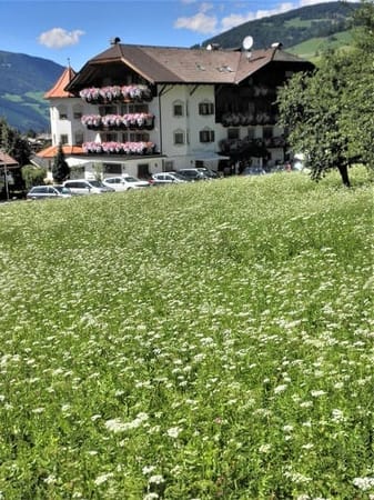 The Dolomites: Northern Italy’s incredible mountain range: photo 24