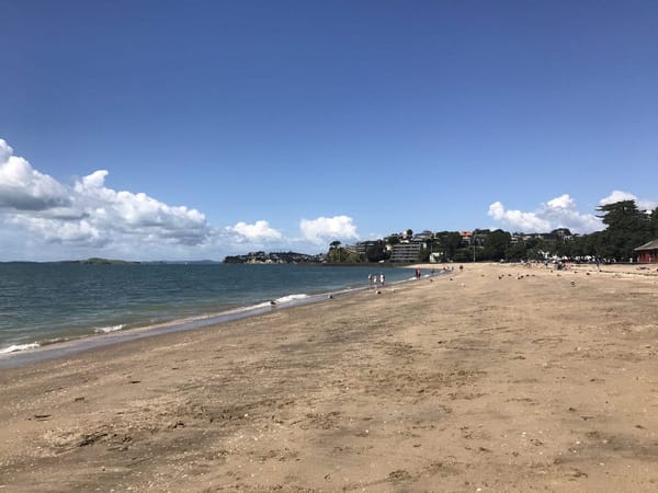 Auckland: 5 Free Things To Do: photo 4