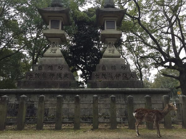 Japan's Nara Park: Deer-Central: photo 5