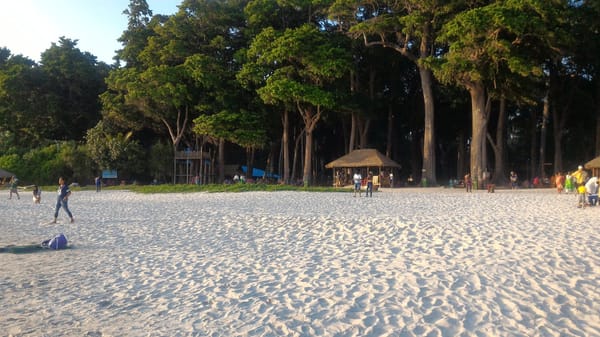 Andaman : The undisputed Paradise.: photo 15