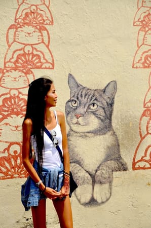 Malaysia's Street Art in George Town Penang: photo 12