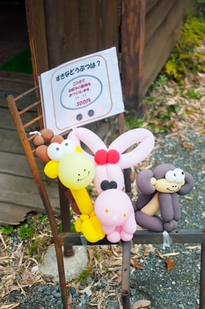 A Whimsical Experience in Hamamatsu, Japan: photo 15