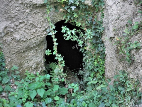 Citta del Tufa: Stunning ancient Etruscan heritage: photo 20