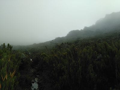 Heaven in heights: Cerro De La Muerte (Costa Rica): photo 2