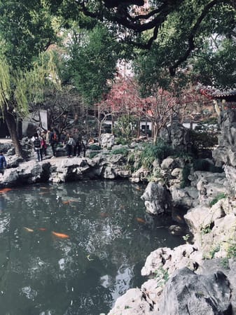 China | Shanghai | The Yuyuan Garden: photo 4
