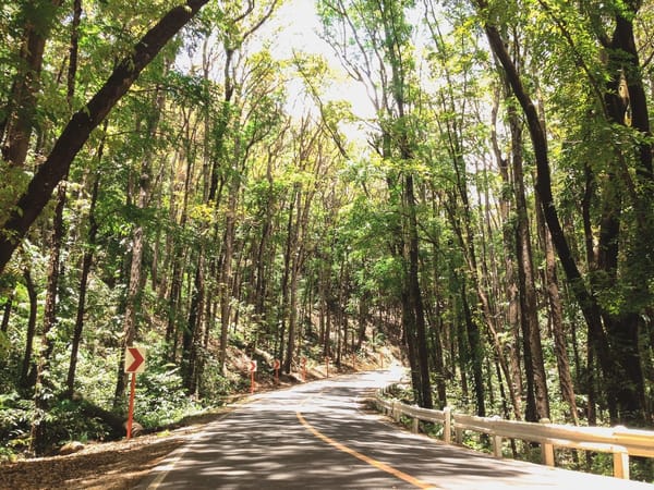 Exploring Bohol in 3 Days: photo 6