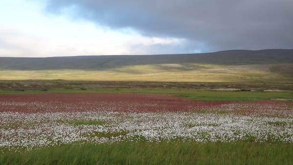 Chukotka, Russia: travelling in the Arctic: photo 6