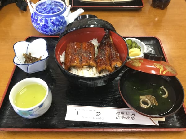 A Whimsical Experience in Hamamatsu, Japan: photo 20