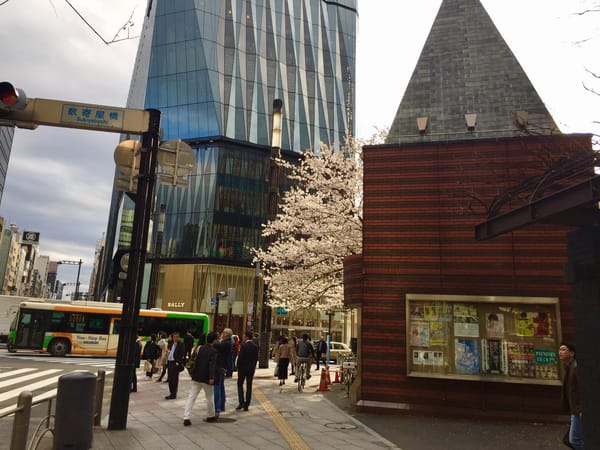 Cherry Blossom and Japanese Culture: photo 1