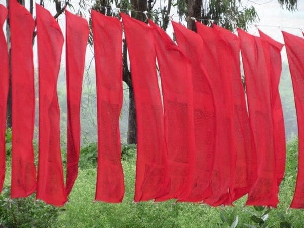 Offbeat Bylakuppe: A Slice of Tibet in Karnataka: photo 2