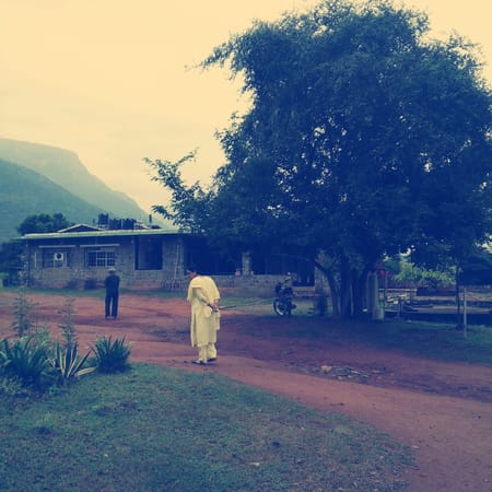 Masinagudi : Deep in the forests of Mudumalai: photo 5