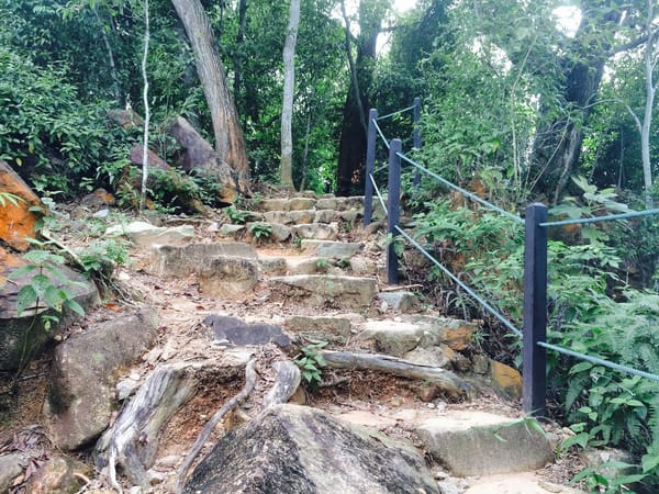 Singapore: Get Closer to Nature: photo 9