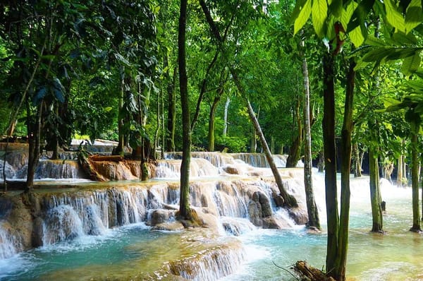 Five things you should not miss in Luang Prabang: photo 2