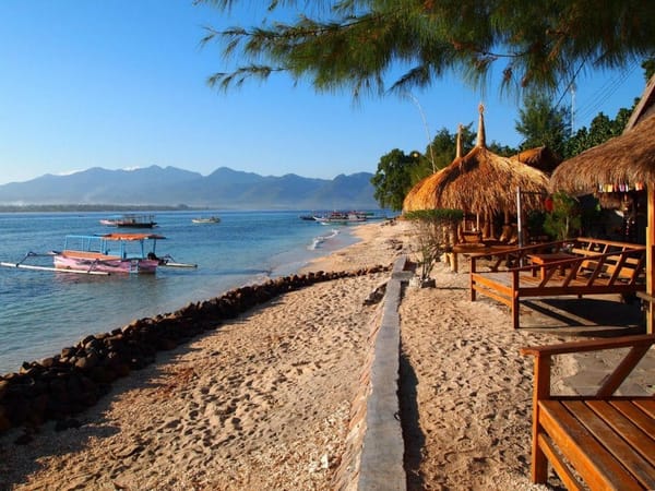 The Gili Islands: Which is the most venomous snake in the world?: photo 7