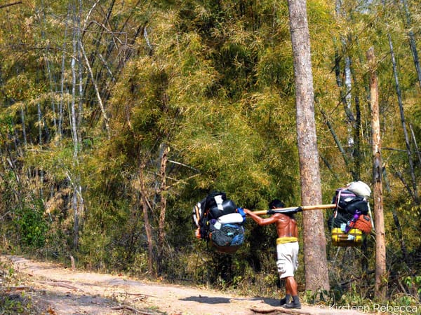 Off the Beaten Track in Thailand: Phu Kradeung National Park: photo 1