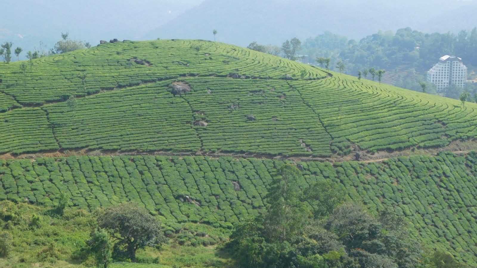Places to visit in Munnar India