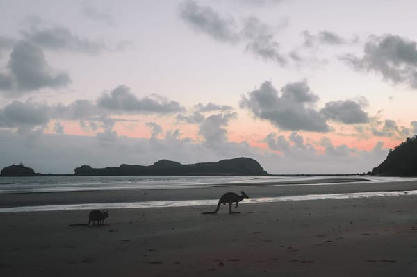 Explore Far North Queensland: photo 2