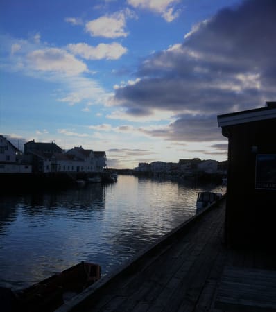 A Trip to the Arctic Circle: the Lofoten archipelago: photo 7