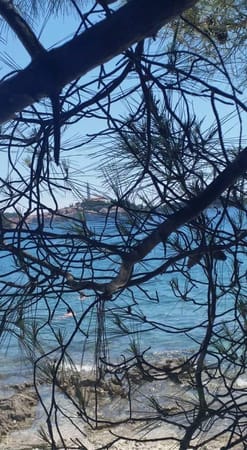 The views of Rovinj: photo 10