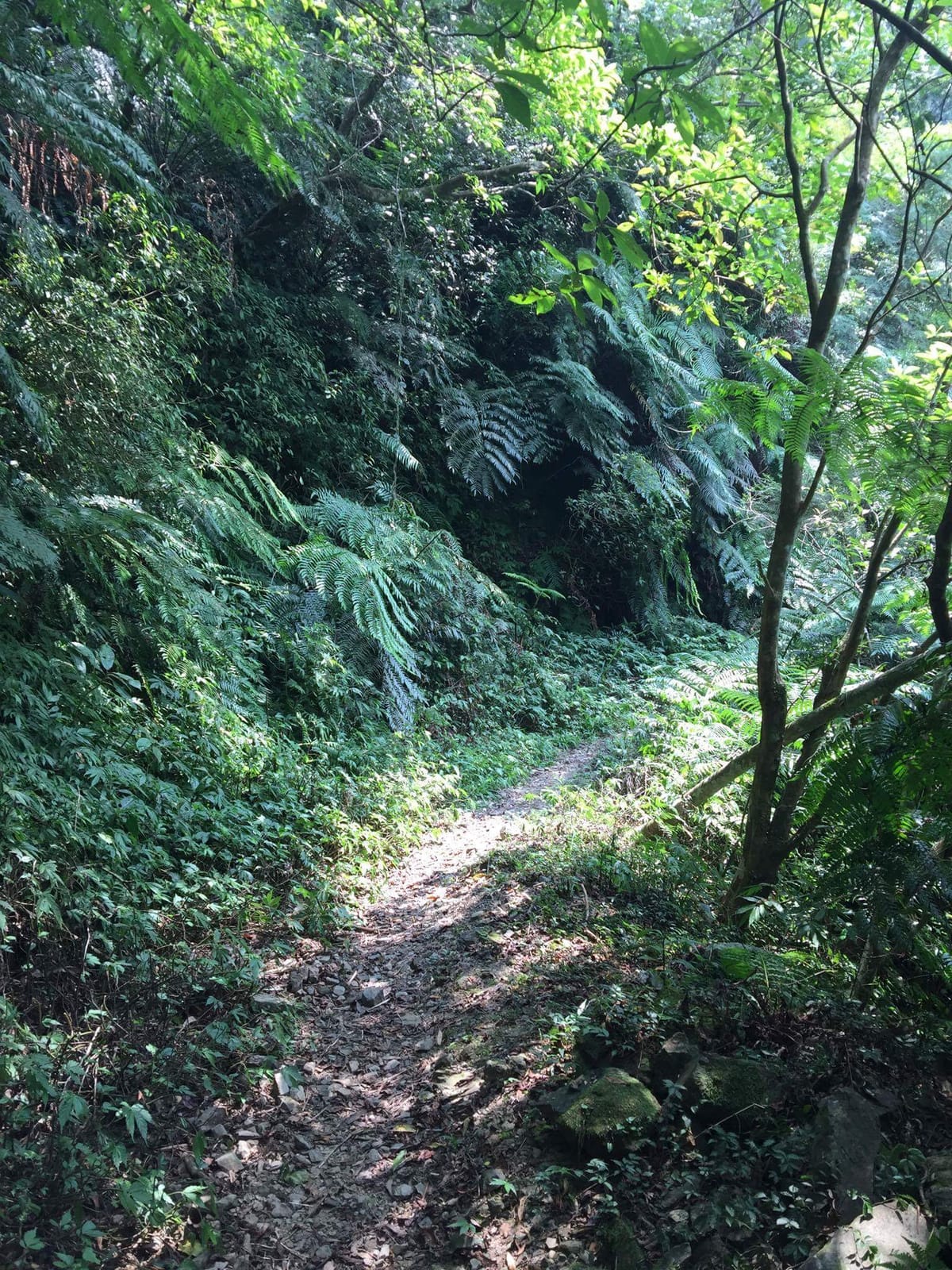 The Best Things To Do In and Around Taipei