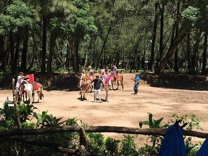 One day trip to City of Pines: Baguio City: photo 15