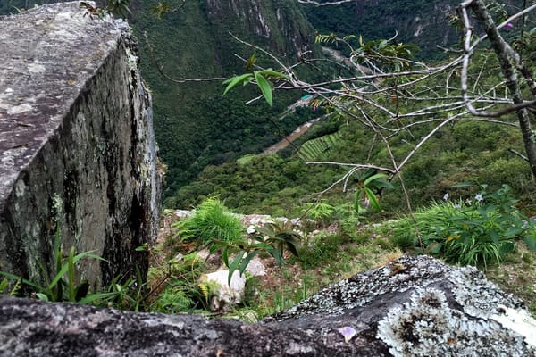 Visit  Machu Picchu-Wonder of the World: photo 15