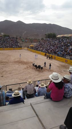 Arequipa Top 6 Things to Do in the White City of Peru: photo 6