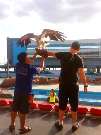 WONDER INSIDE THE OCEAN: Manila Ocean Park: photo 11