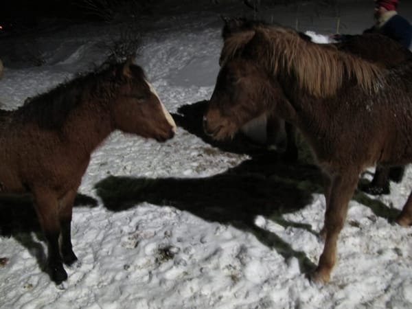 The Luckiest Moment of Our Trip in Tromso, Norway: photo 3