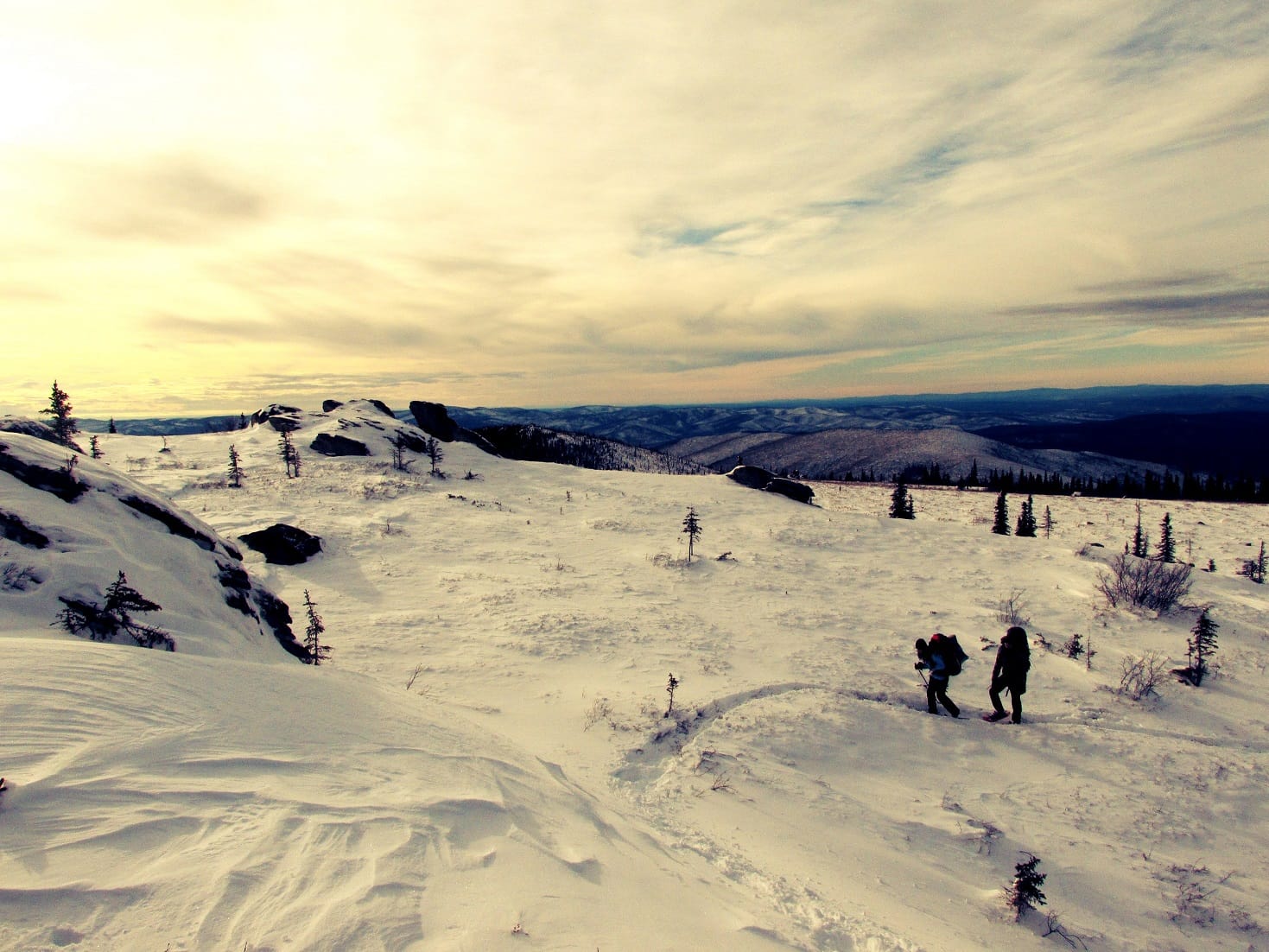 Magical Alaska - 5 Things To Do in Fairbanks