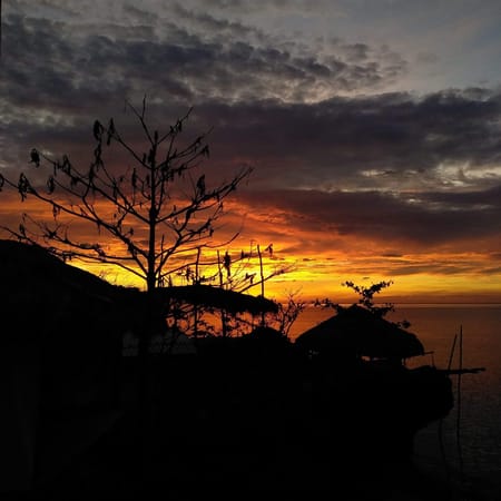 Birdland Beach Club: Must See Eco-Friendly Resort in Bolinao: photo 2