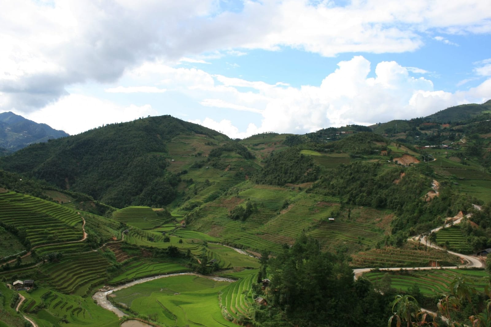 The Valley Verdure of Mù Cang Chải
