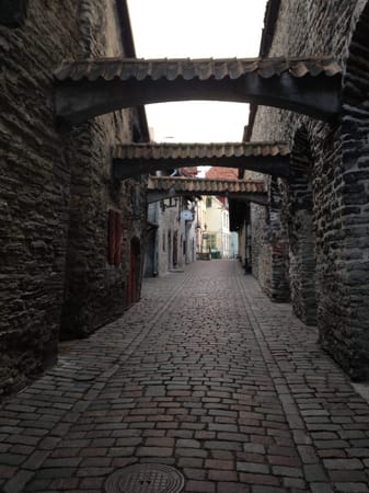 Overview of Tallinn: photo 9