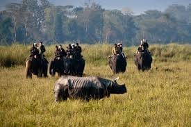 Kaziranga National Park the home to one-horned rhino: photo 2