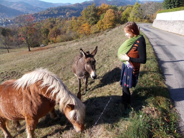 A visual journey of the French countryside: Valley of Munster: photo 28