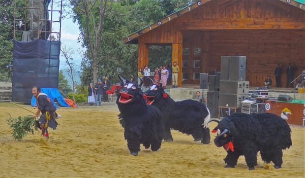 Welcome to Nagaland's Hornbill Festival: photo 12