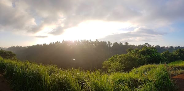 Things to do in Ubud, Bali, Indonesia: photo 2