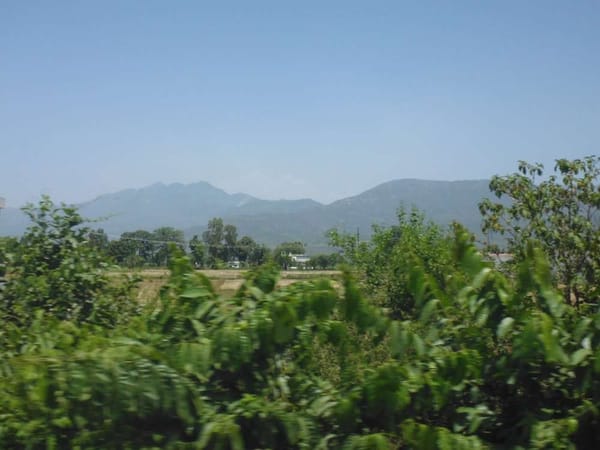 Amidst the Silence of the Hills - A Road Trip To Chakrata: photo 3