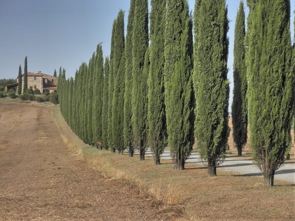 Around Monte Amiata: A touch of rural Tuscany: photo 28