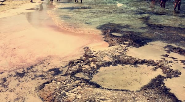 CHANIA : A secret paradise in the Greek island of Crete: photo 4