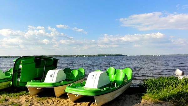 Best places to go walking (actively) around Warsaw: photo 1