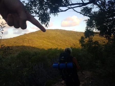 Great Keppel Island Living: photo 6