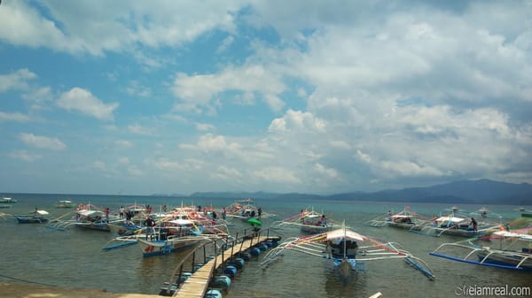 Explore Puerto Princesa in Just Three Days!: photo 8