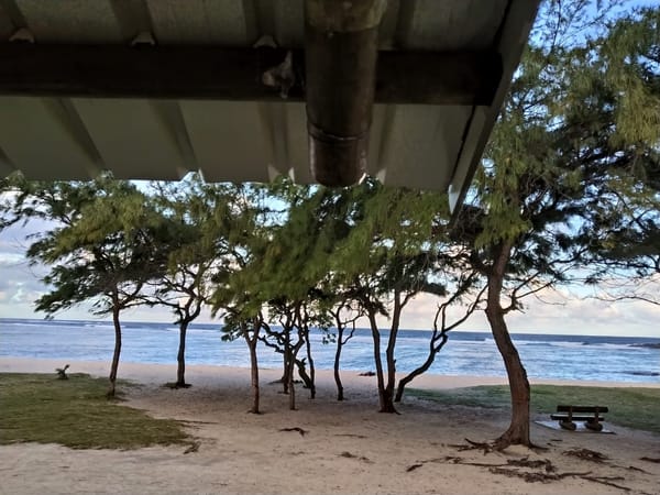 Travel to Mauritius for green pastures and the blue sea: photo 2